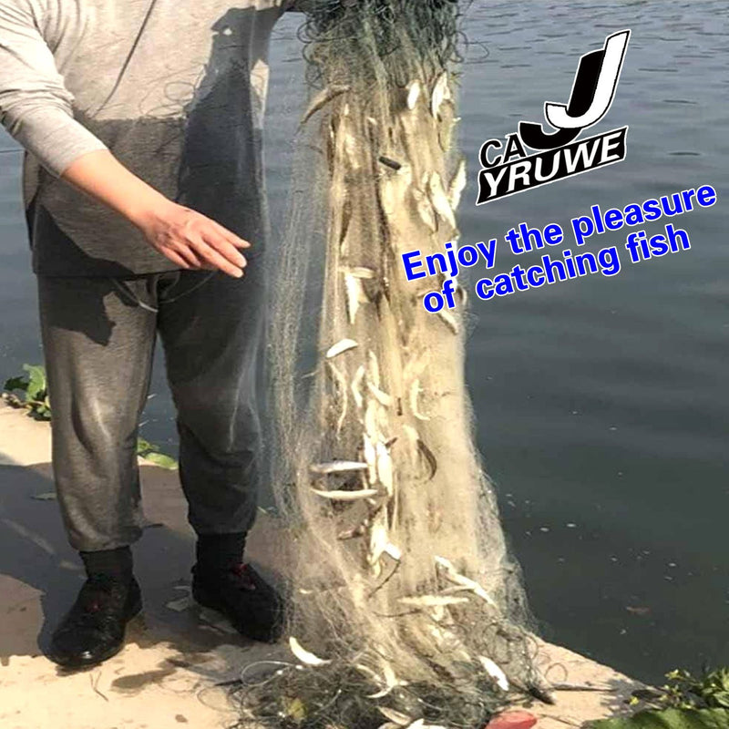 558713611
